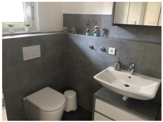Ferienwohnung Bodensee Nenzingen Hegau Orsingen-Nenzingen Luaran gambar